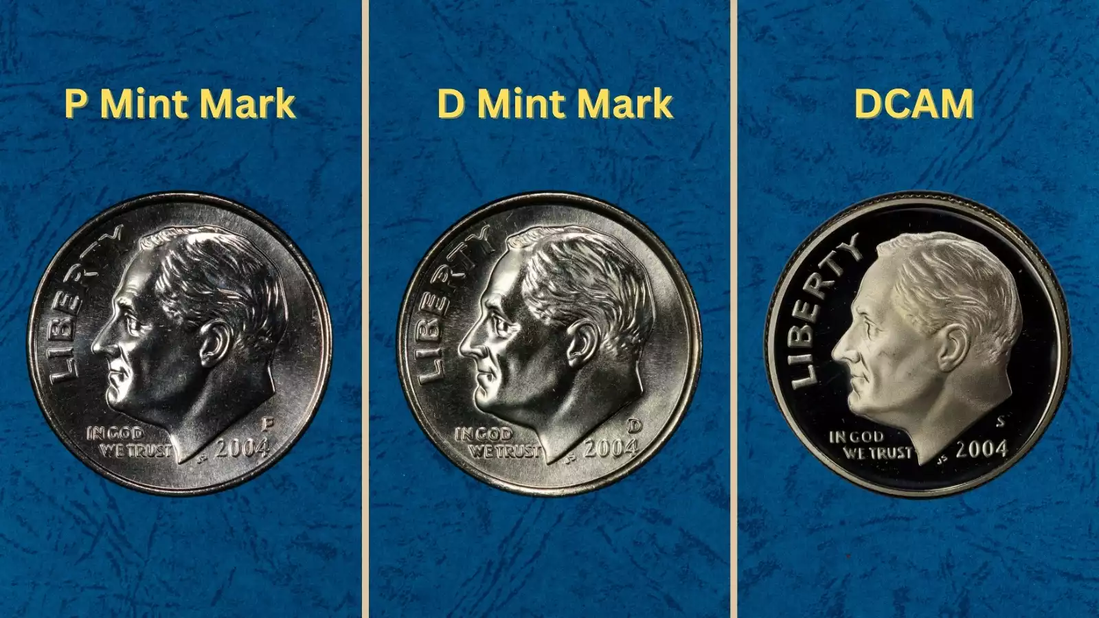 Group of 2004 Roosevelt dimes representing different grades and mint marks including worn circulated examples and uncirculated specimens